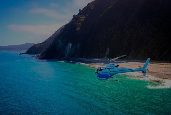 Hunting and whalewatching, Whale Watching - New Zealand Hunting and Travel Package, Helicopter tour, red stag hunting